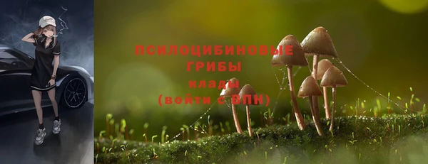 PSILOCYBIN Балабаново