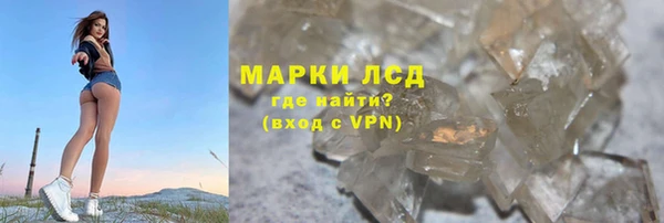 сатива Надым