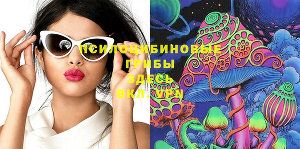 PSILOCYBIN Балабаново
