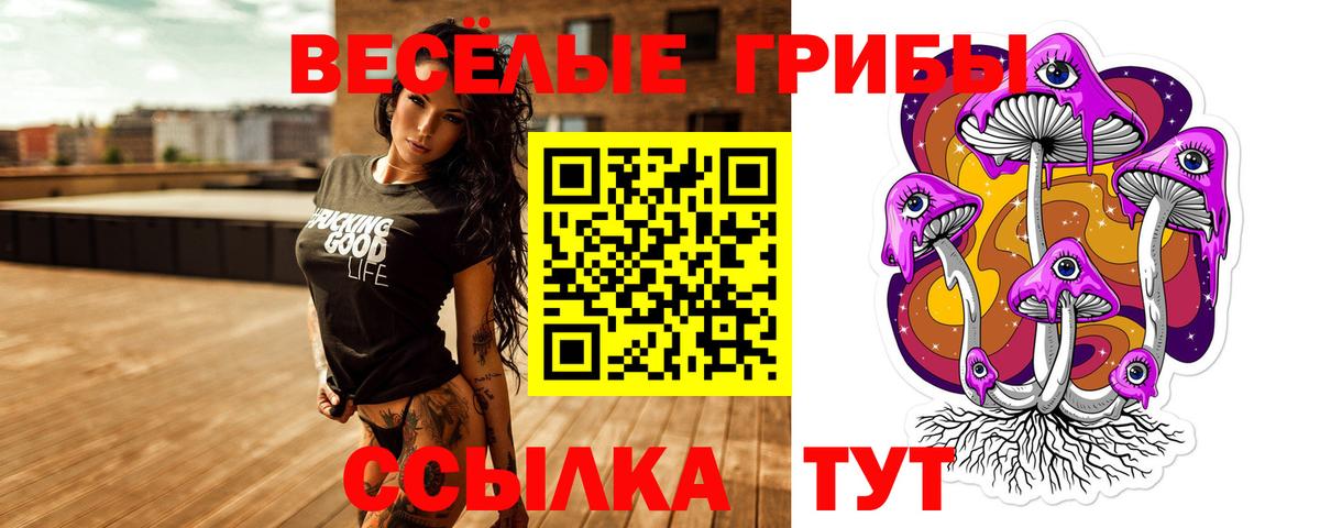 Галлюциногенные грибы Psilocybe Соль-Илецк