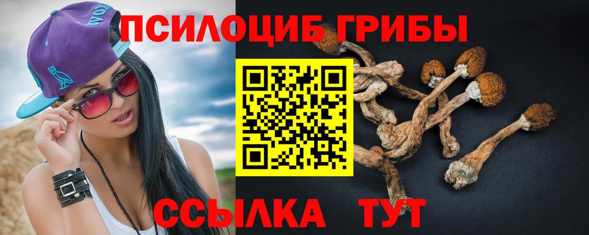 Псилоцибиновые грибы Psilocybe  Вход с VPN  Соль-Илецк  Псилоцибиновые грибы Cubensis 